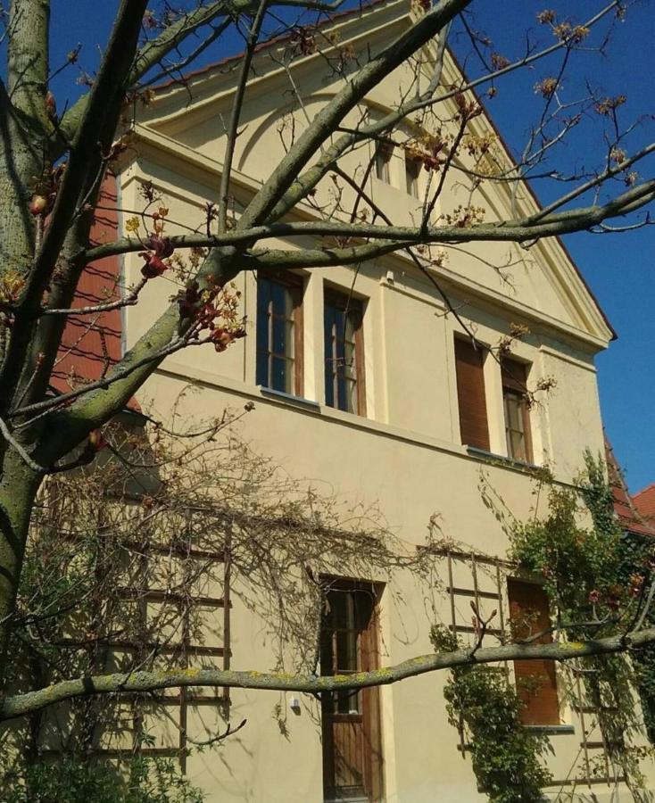Haus Schmeile มัคเดอบวร์ก ภายนอก รูปภาพ